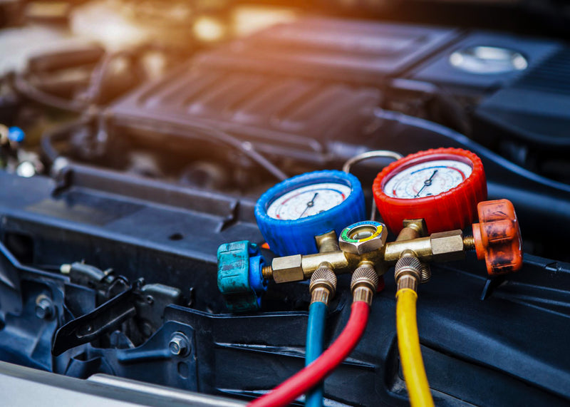 Abilitazione FGAS